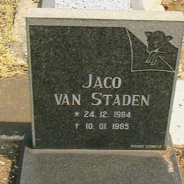 STADEN Jaco, van 1984-1985