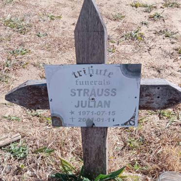 STRAUSS Julian 1971-2011