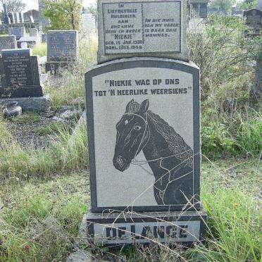 LANGE Niekie, de