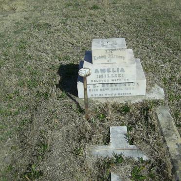 STEVENSON Amelia   -19??