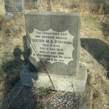 STRYDOM Hester M.A. nee STEYN 1874-1950