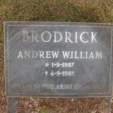BRODRICK Andrew William 1987-1987