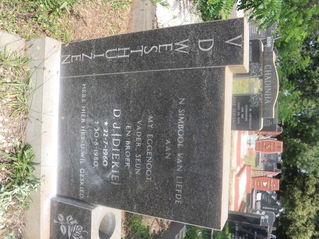 WESTHUIZEN D.J., v.d. 1960-1980