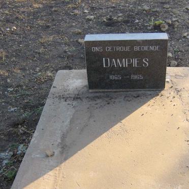 ? Dampies 1865-1965