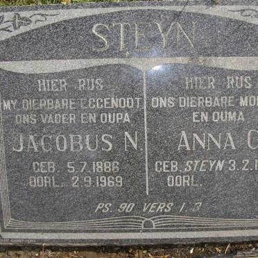 Mpumalanga, STANDERTON district, Val, Paardefontein 584, farm cemetery_5