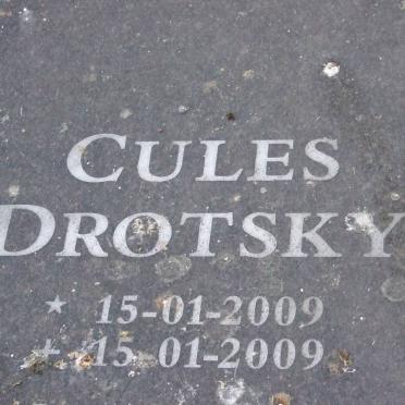 DROTSKY Cules 2009-2009