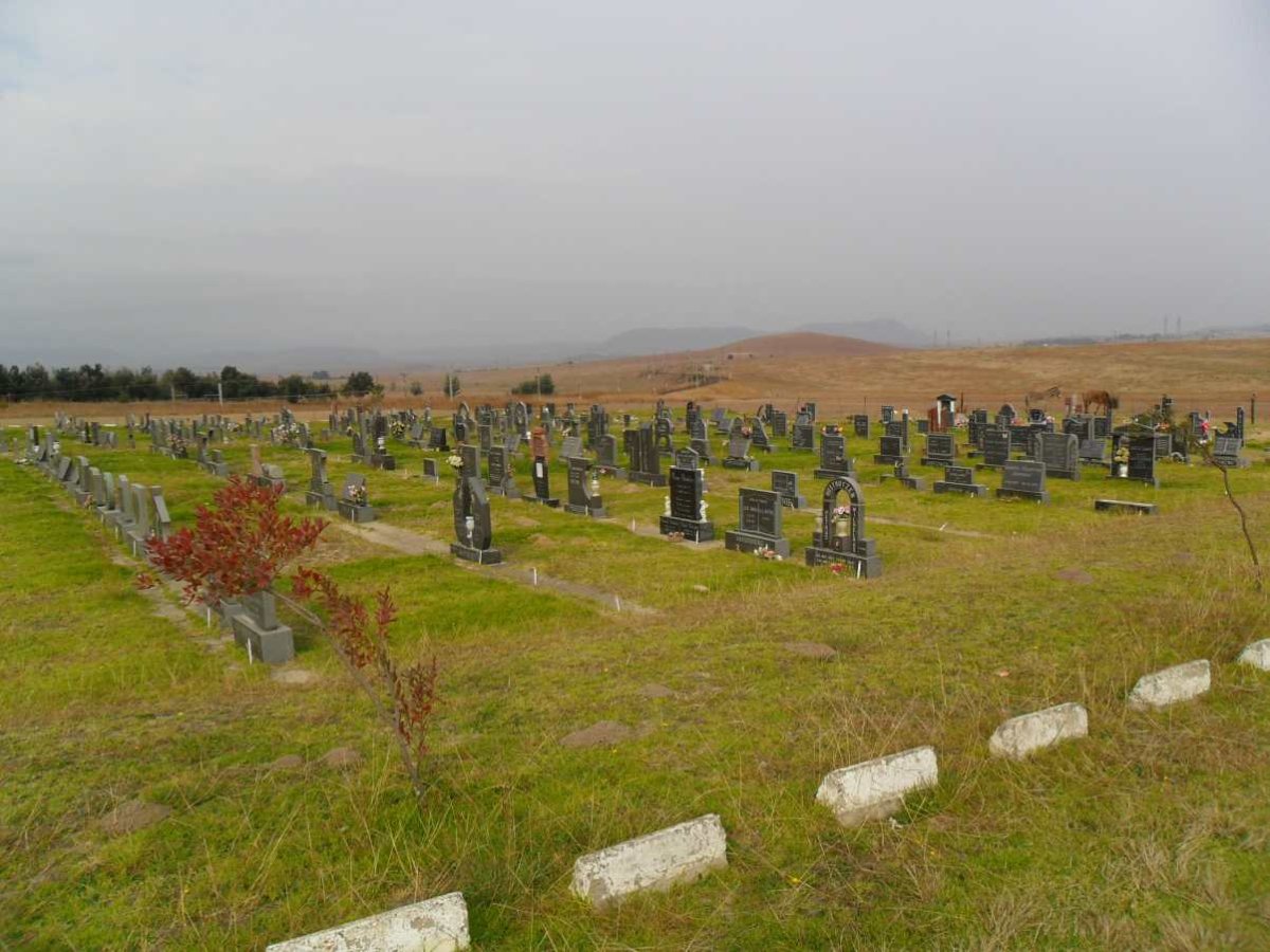 1. Overview