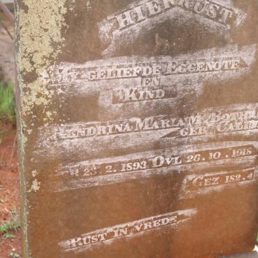 BOTHA Hendrina Maria M. nee CALITZ 1893-1918