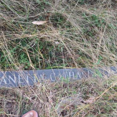 ELS Janetta Catharine 1938-