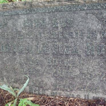 HORN Martha Louiza nee BOTHA -195?