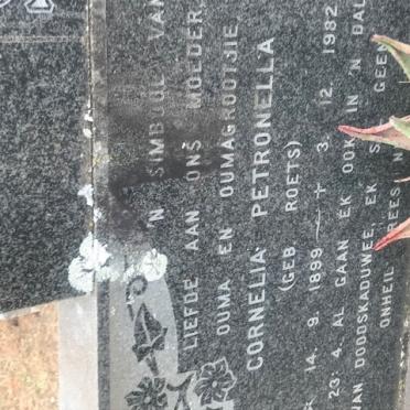 STEYN Jacobus Johannes Philluppus Cornelius Lourens 1895-1983 &amp; Cornelia Petronella ROETS 1899-1982
