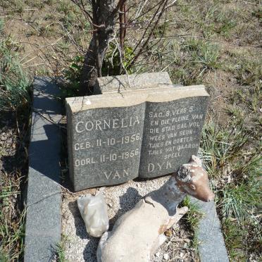 DYK Cornelia, van 1956-1956