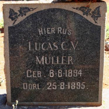 MULLER Lucas C.V. 1894-1895