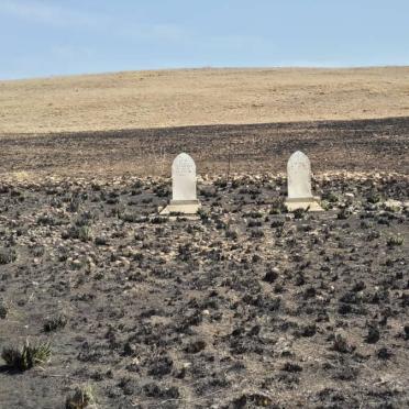Mpumalanga, AMERSFOORT district, Hartebeestfontein 524, farm cemetery
