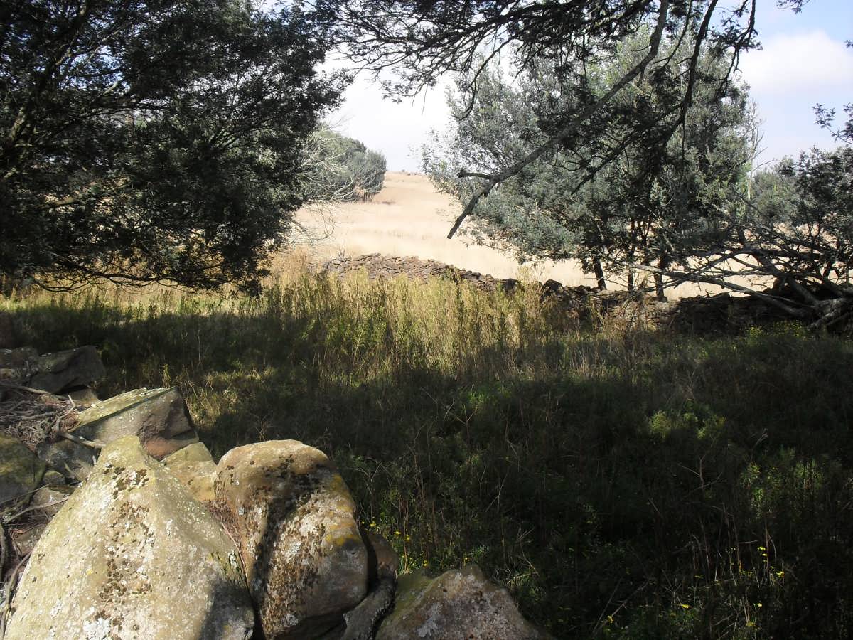 3. Baltrasna - kraal waar skietery plaasgevind het