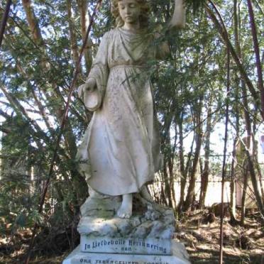 Mpumalanga, BELFAST district, Bergendal, De Goedehoop 362, farm cemetery_1