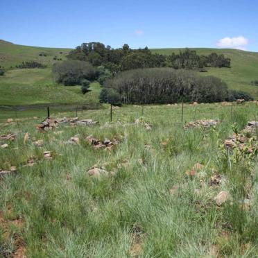 Mpumalanga, BELFAST district, Dullstroom, Elandskloof 321 JT, farm cemetery_1