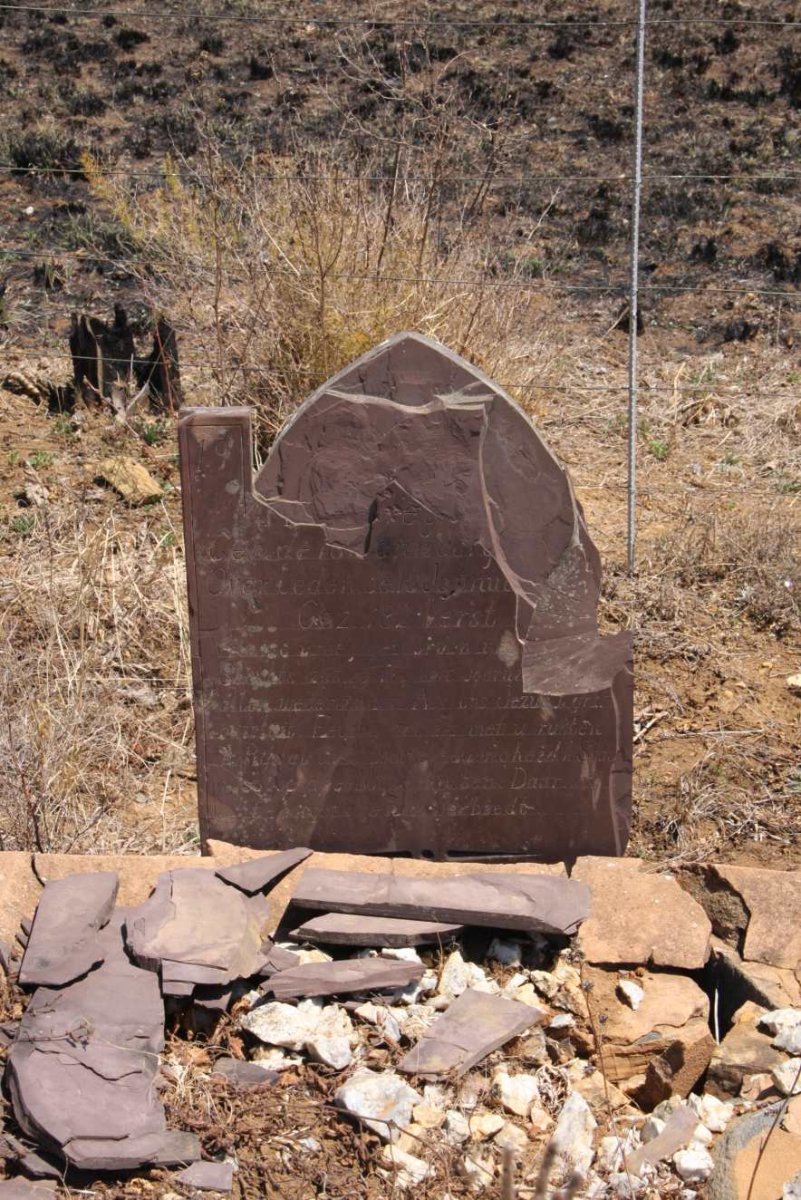 ? 1881-1901